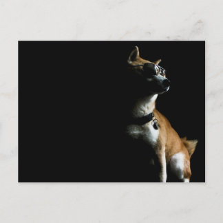 Saké Suave Briefkaart