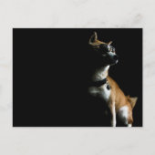 Saké Suave Briefkaart (Voorkant)