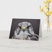 Saker Falcon greetings kaart, leeg binnenin. Kaart (Gele Bloem)