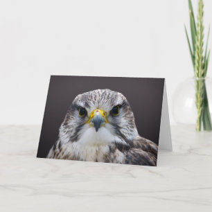 Saker Falcon greetings kaart, leeg binnenin. Kaart