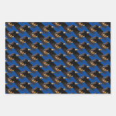 Saker Falcon / Kale Adelaar / Schuur Uil Inpakpapier Vel (Voorkant 2)