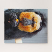 Saki-apen. Legpuzzel (Horizontaal)