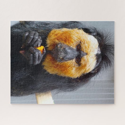 Saki-apen. Legpuzzel (Horizontaal)