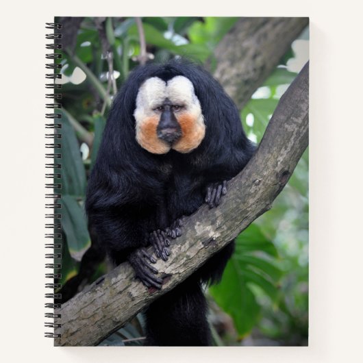 Saki Notitieboek (Voorkant)