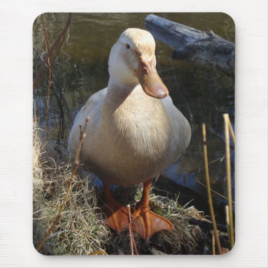 Saksen Duck Mousepad Muismat (Voorkant)