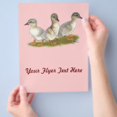 Saksen Ducklings Flyer (Hand)