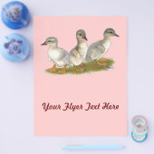 Saksen Ducklings Flyer (Enkel)