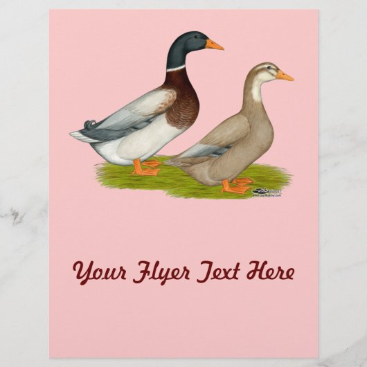 Saksen Ducks Flyer (Voorkant)