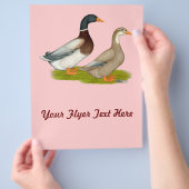 Saksen Ducks Flyer (Hand)