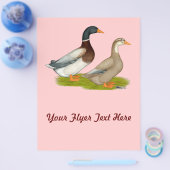 Saksen Ducks Flyer (Enkel)