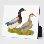 Saksen Ducks Fotoplaat (Zijkant)