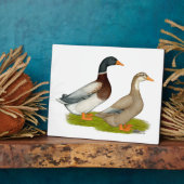 Saksen Ducks Fotoplaat (Zijkant)