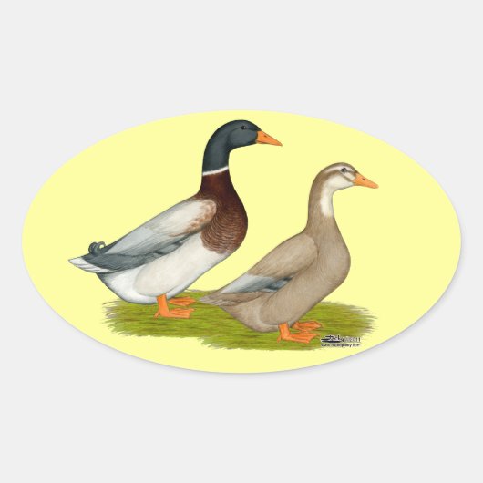 Saksen Ducks Ovale Sticker (Voorkant)