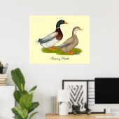 Saksen Ducks Poster (Thuiskantoor)