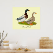 Saksen Ducks Poster (Keuken)