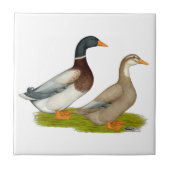 Saksen Ducks Tegeltje (Voorkant)