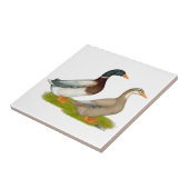 Saksen Ducks Tegeltje (Zijkant)