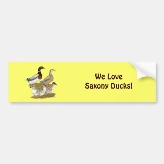 Saksische Eend Familie Bumpersticker (Voorkant)