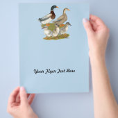 Saksische Eend Familie Flyer (Hand)