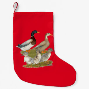 Saksische Eend Familie Kleine Kerstsok