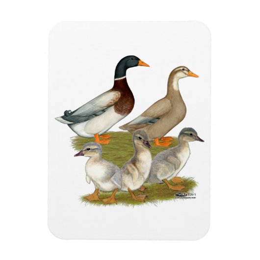 Saksische Eend Familie Magneet (Verticaal)