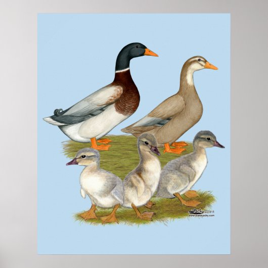 Saksische Eend Familie Poster (Voorkant)