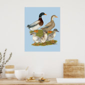 Saksische Eend Familie Poster (Keuken)