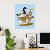 Saksische Eend Familie Poster (Thuiskantoor)