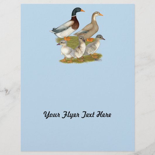 Saksische Eendenfamilie Flyer (Voorkant)