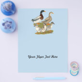 Saksische Eendenfamilie Flyer (Enkel)