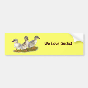 Saksische Eendjes Bumpersticker