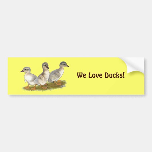 Saksische Eendjes Bumpersticker (Voorkant)