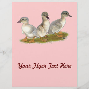 Saksische eendjes flyer