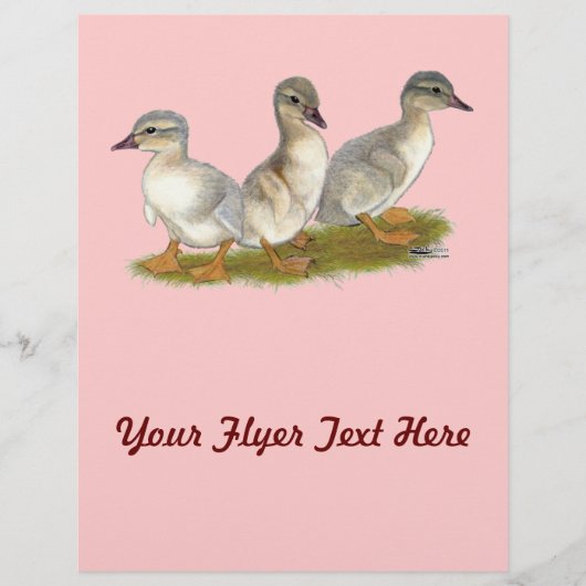 Saksische eendjes flyer (Voorkant)