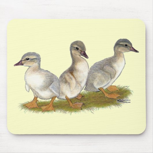 Saksische eendjes muismat (Voorkant)