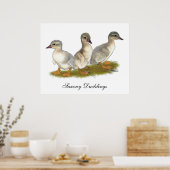 Saksische eendjes poster (Keuken)