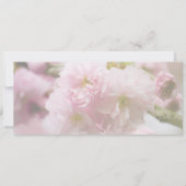 Sakura • Aankondiging van de bewaar de datum (Achterkant)