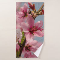 Sakura Bloem, Roze Japans Fotografie