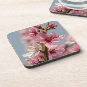 Sakura bloem, roze Japanse bloem Bier Onderzetter