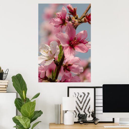 Sakura bloem, roze Japanse bloem Poster (Thuiskantoor)