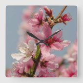 Sakura bloem, roze Japanse bloem Vierkante Klok (Voorkant)