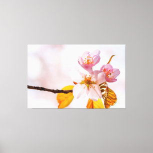 Sakura-bloemen en zachte roze achtergrond van de l canvas afdruk