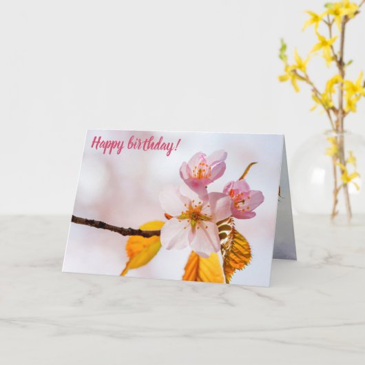 Sakura-bloemen en zachte roze achtergrond van de l kaart (Gele Bloem)