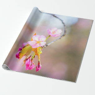 Sakura bloemen op een punt van de tijdhelix cadeaupapier