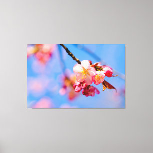 Sakura Bloesem, Knoppen En De Blauwe Lucht Van De Canvas Afdruk
