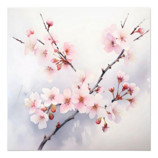 Sakura Blooming Branch Foto Afdruk (Voorkant)