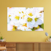 Sakura Blossom Canvas Afdruk (Insitu (Woonkamer))