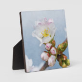 Sakura Blossom Fotoplaat (Voorkant)