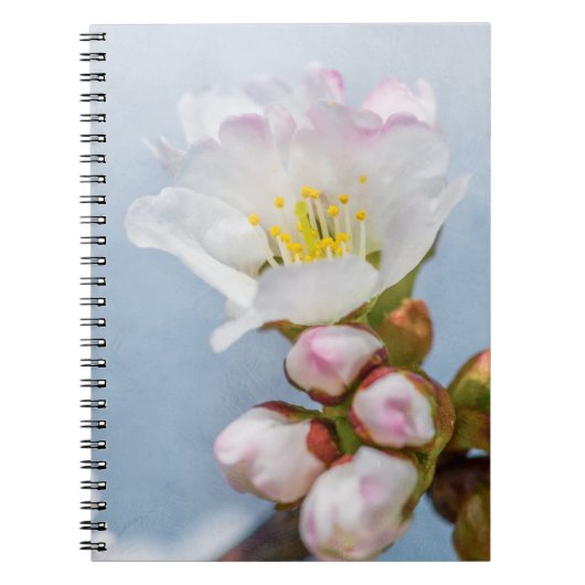 Sakura Blossom Notitieboek (Voorkant)