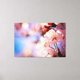 Sakura Blossom op zonnige dag Canvas Afdruk